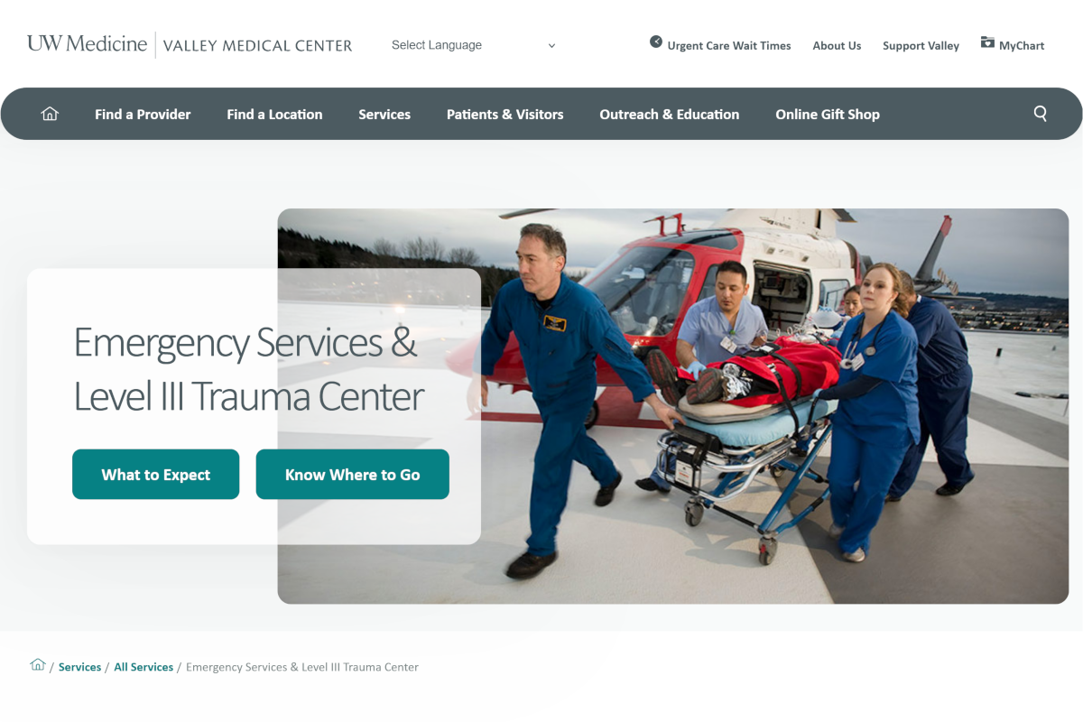 Valley Medical Center Website 3
